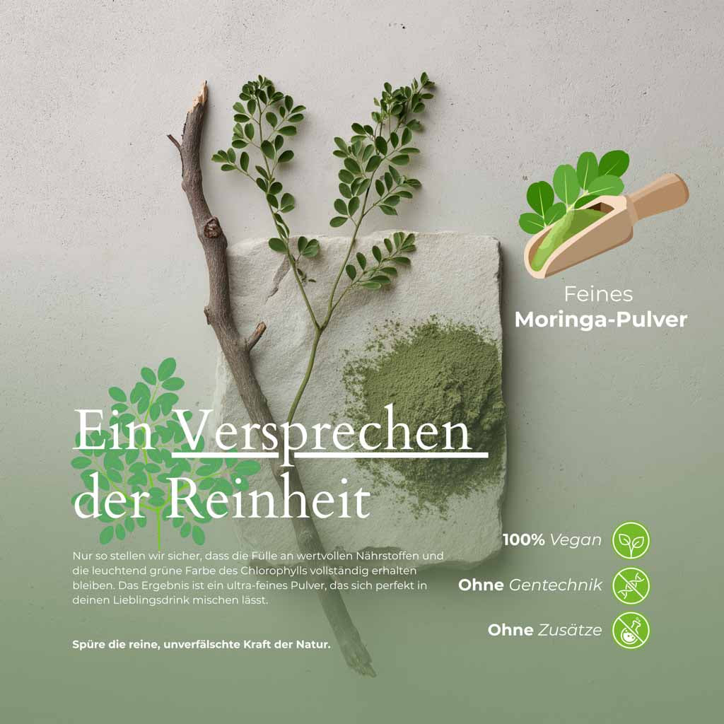 Moringa-Blätter mit feinem Pulver von Mr. Colombo | Versprechen der Reinheit und voller Nährstoffe.