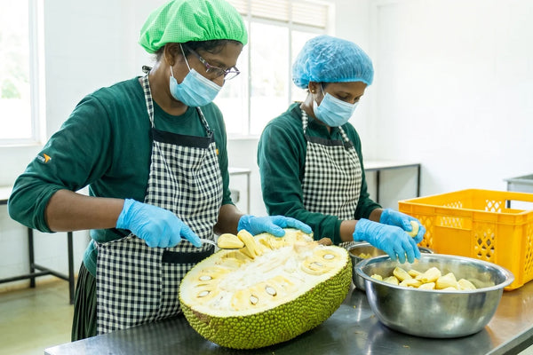 Verarbeitung frischer Jackfrucht im Partnerbetrieb in Sri Lanka