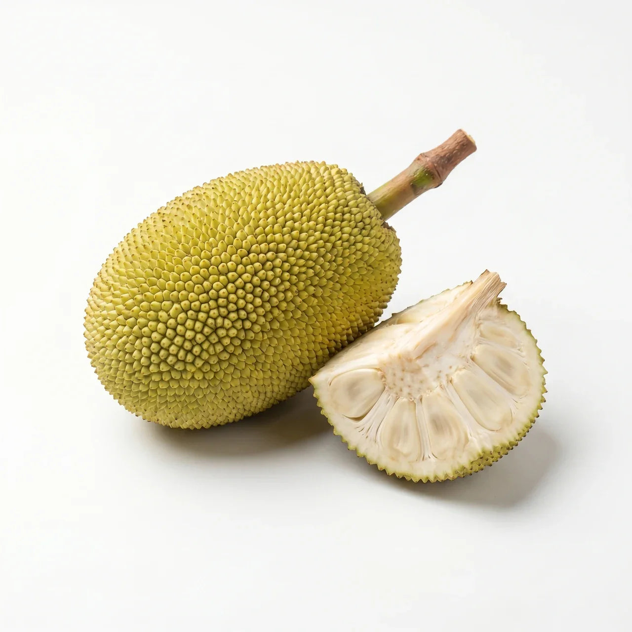 Jackfrucht - MrCOLOMBO Sri Lanka
