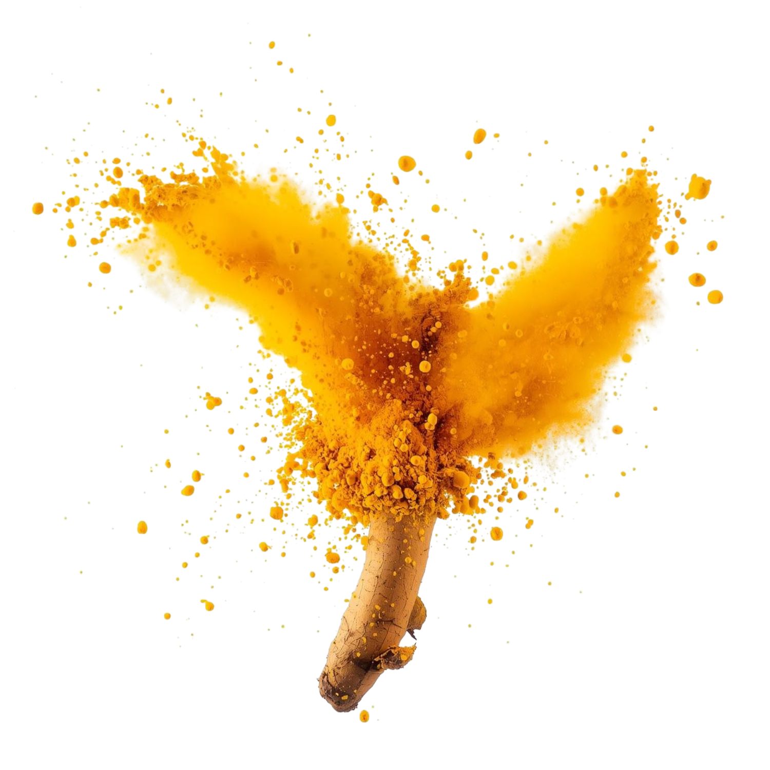 MrCOLOMBO Kurkuma Pulver - goldene Wurzel in satter Farbexplosion, aromatisch und naturrein aus Sri Lanka.