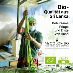 Bio-Zitronengras Schnitte aus Sri Lanka - Ansicht 3