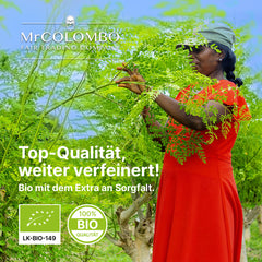 Bio Moringa Pulver aus Sri Lanka - Ansicht 3