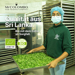 Bio Moringa Pulver aus Sri Lanka - Ansicht 5