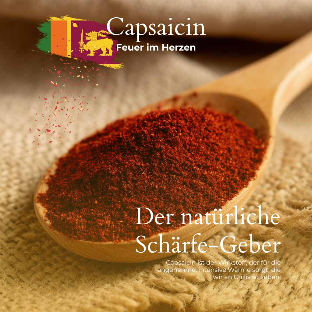 Rotes Chili-Pulver mit Chilipulver auf Holzlöffel | der natürliche Schärfegeber aus Sri Lanka.