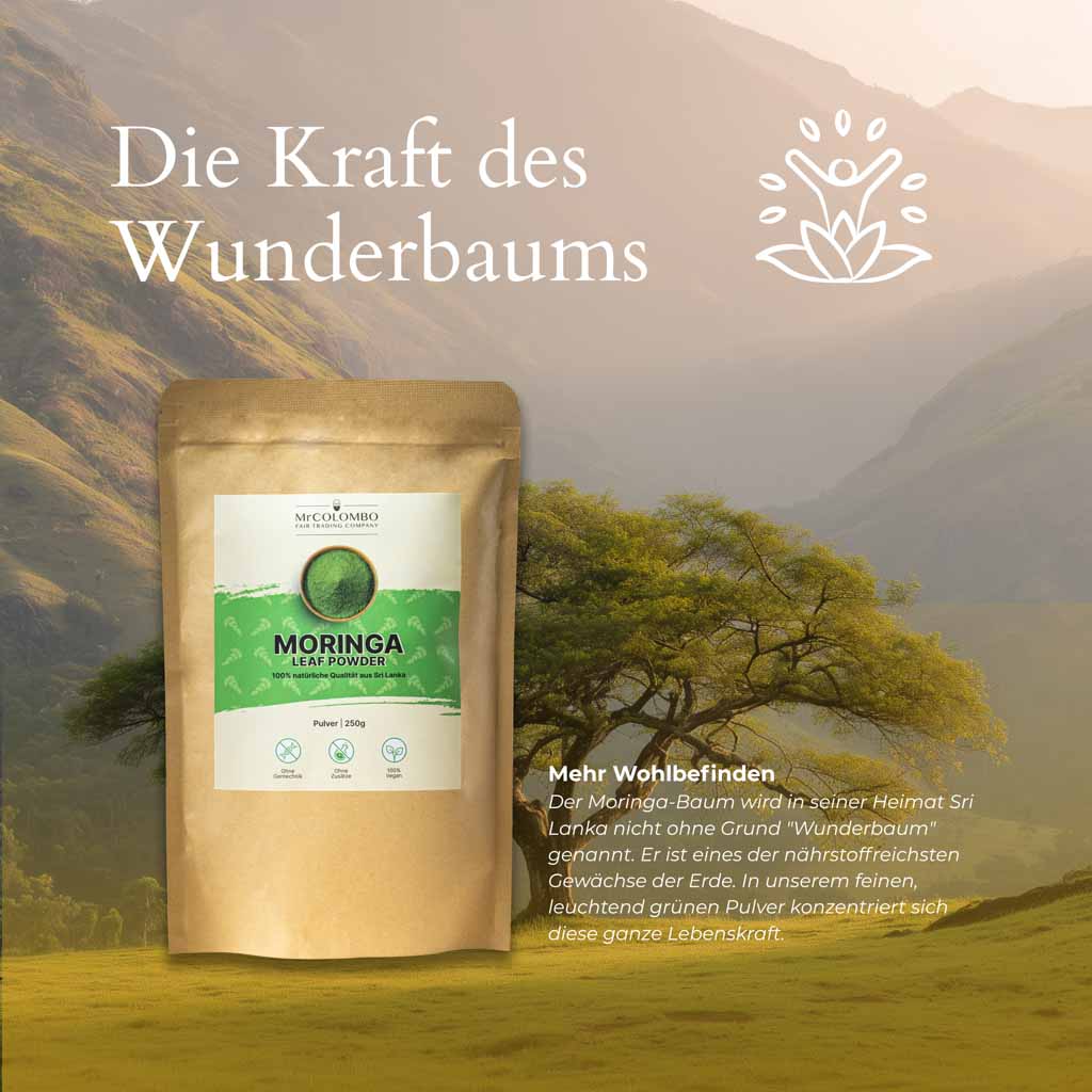 Moringa Pulver von Mr. Colombo vor einer sri-lankischen Hügellandschaft | die Kraft des Wunderbaums in 250g.