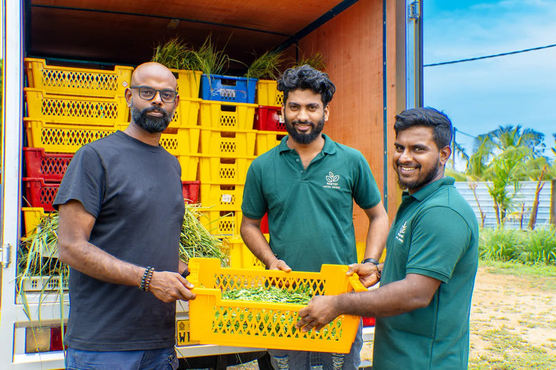 Transport vom Hof zur Verarbeitung in Sri Lanka