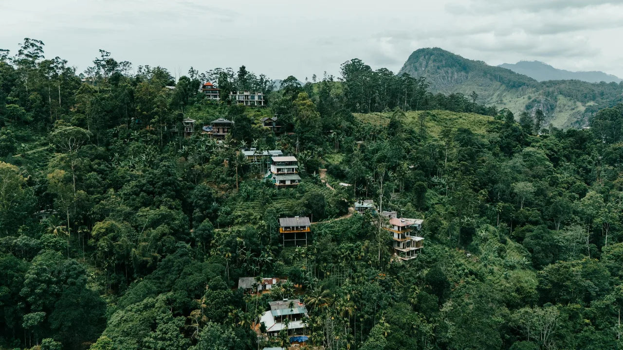 Drohnenaufnahme MrCOLOMBO Anbaugebiet Kandy · Königsstadt-Region - Single-Origin Gewürze direkt von unseren Partnerfamilien
