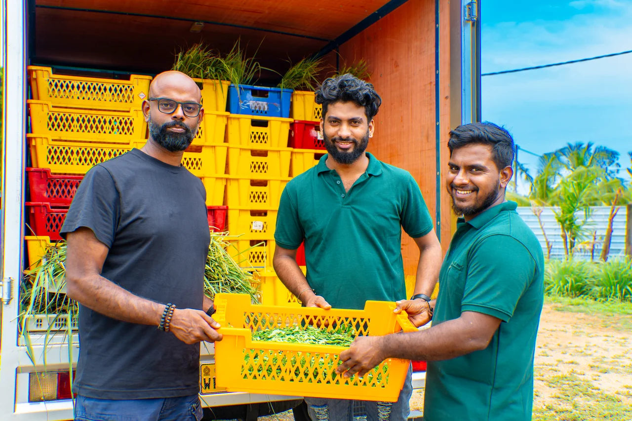 MrCOLOMBO B2B - Single-Origin-Gewürze aus Sri Lanka, direkt von Partnerkooperativen