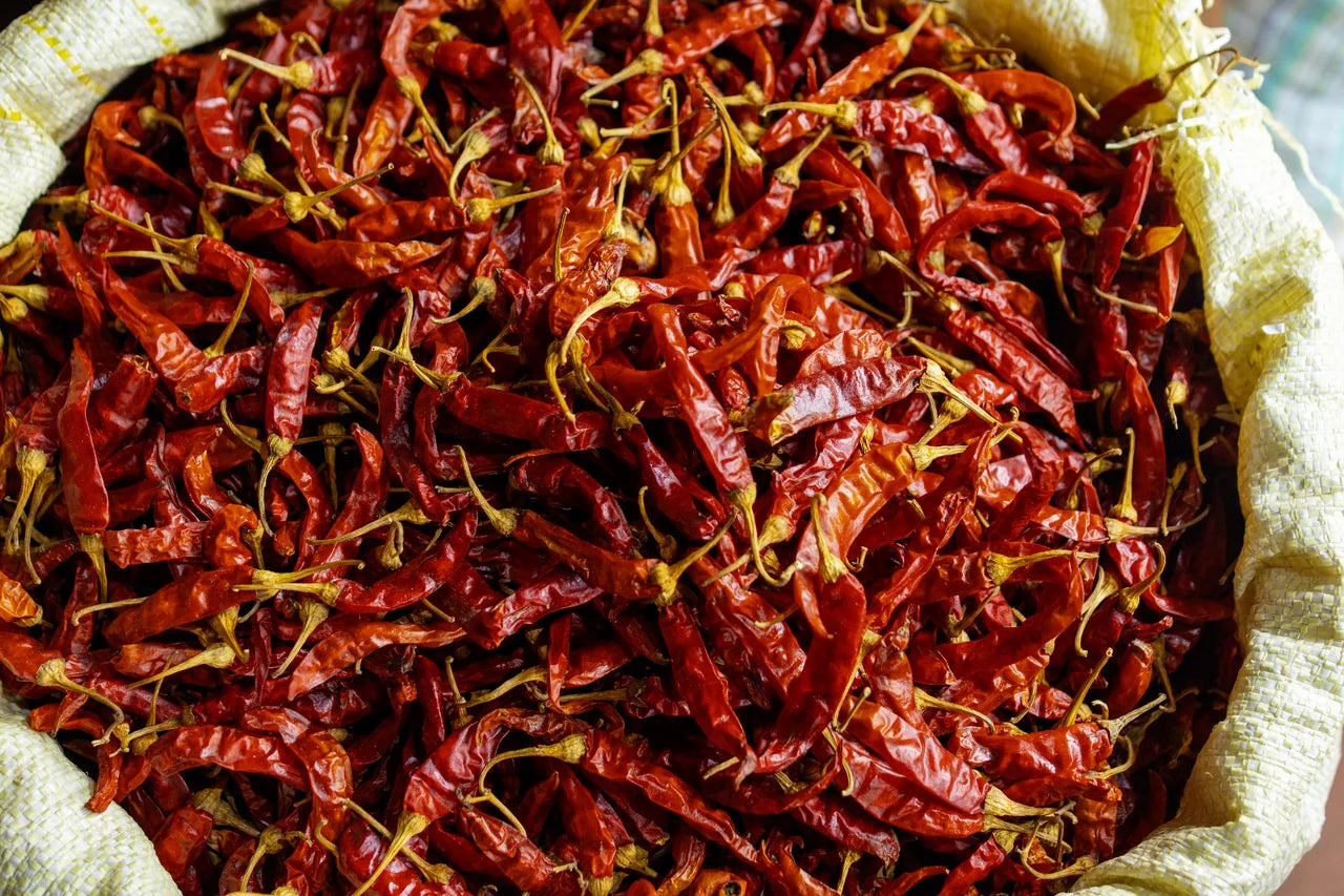 Berge sonnengetrockneter roter Chilischoten in Säcken am Marktstand in Jaffna Sri Lanka - tamilische Markt-Vielfalt