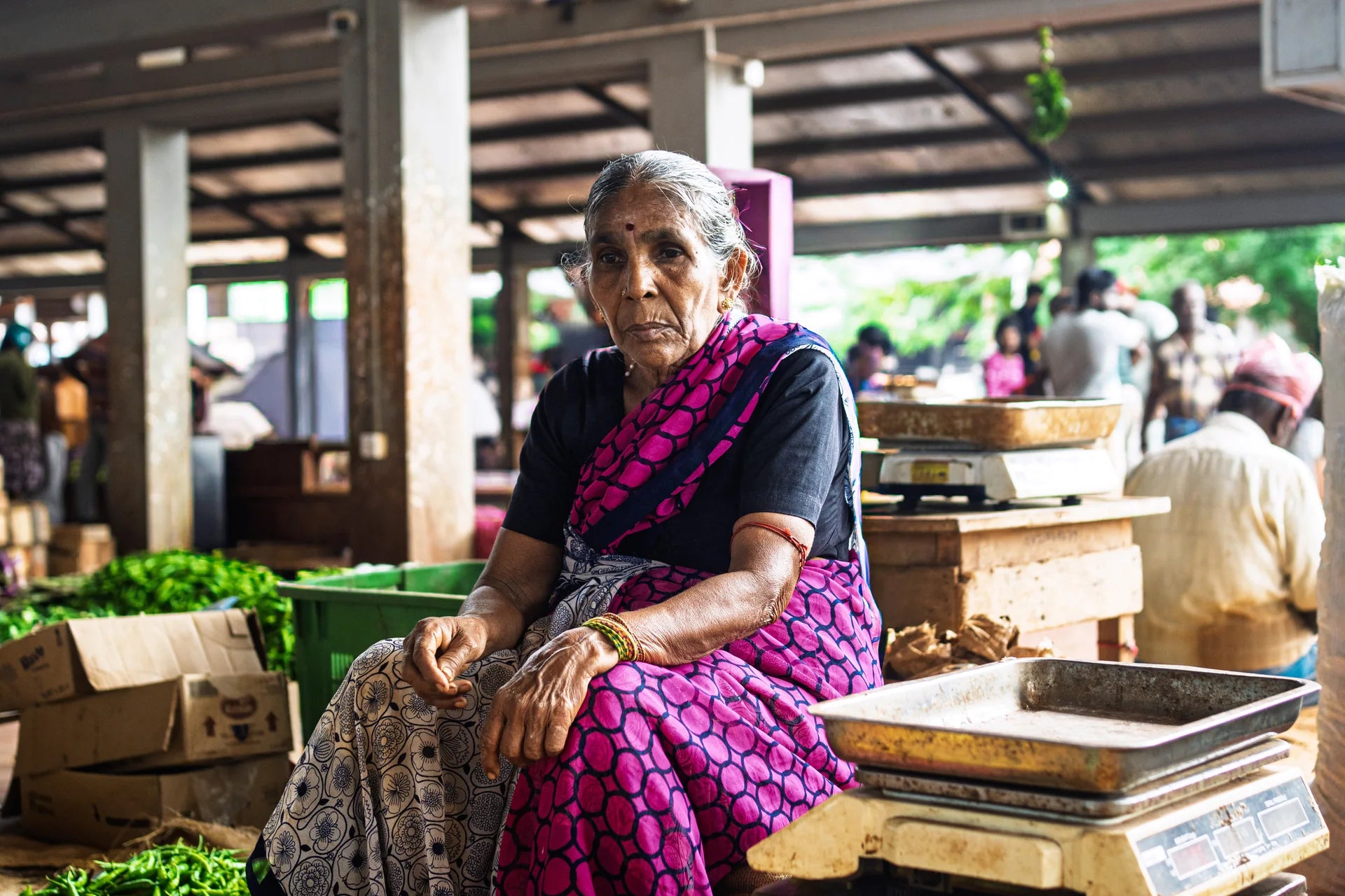 Tamilische Markthändlerin im violetten Sari sitzt zwischen Säcken voller Trockenwaren auf dem Wochenmarkt in Jaffna - traditionelle tamilische Marktkultur in Sri Lanka