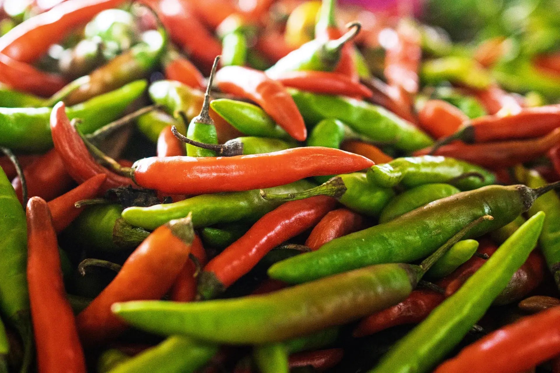 Chiles rojos y verdes frescos expuestos en el mercado de Jaffna, Sri Lanka - producto fresco del mercado para preparar sambol